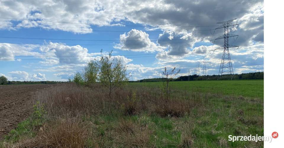 Syndyk sprzeda nieruchomość gruntową w Przyłęku Przyłęk