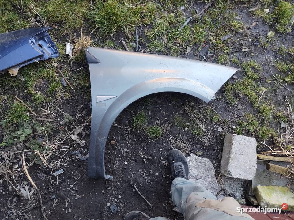 RENAULT MEGANE II błotnik prawy przód części blacharskie Karoseria