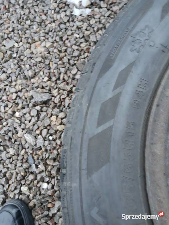 Opony zimowe 2056515 Zeetex WP 100 2020 felgi Sandomierz