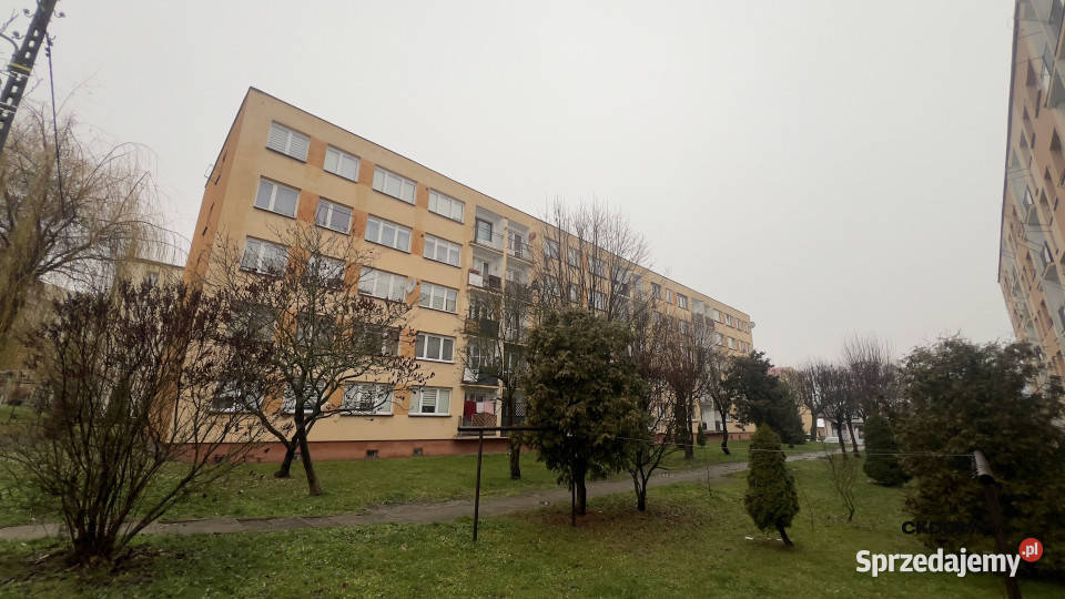 3 pokoje 51m2 Staszów Wschodnia jasne mieszkanie Sprzedaż