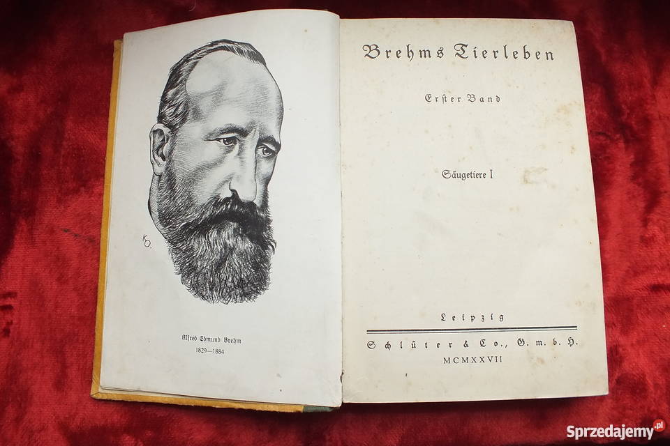 Stara niemiecka książka powieść z 1926 roku Antyki Żary