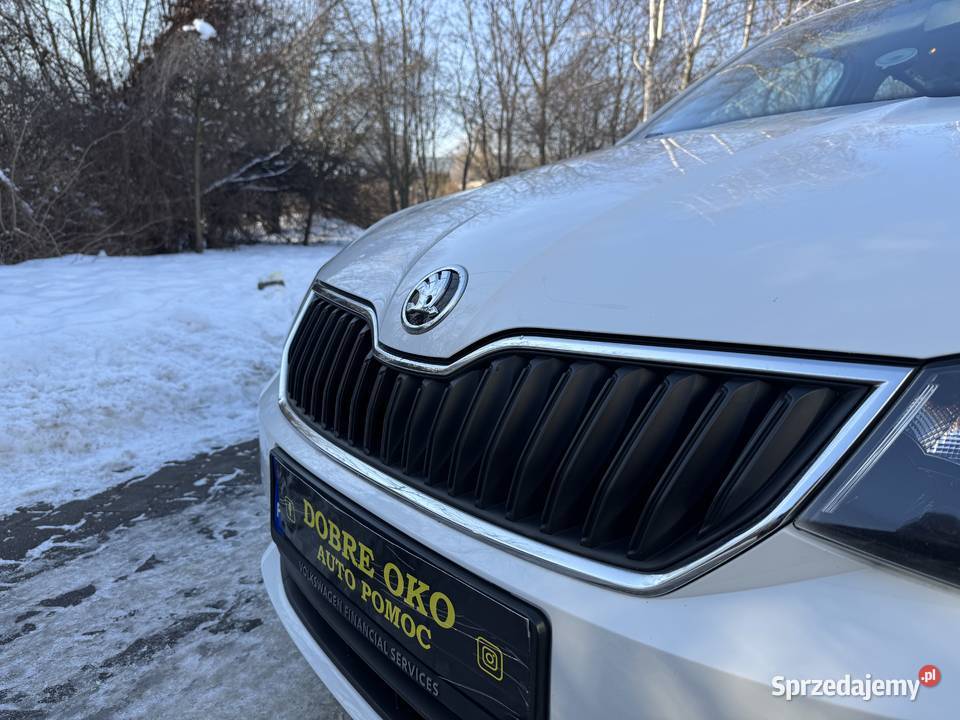 skoda fabia 10 salon