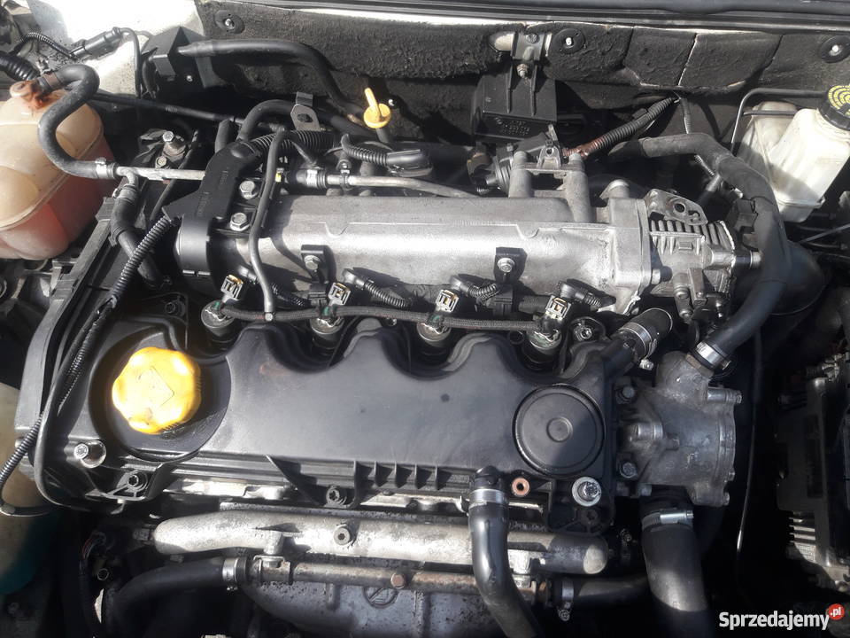 Biały Fiat Stilo na dojazdy do pracy Fiat Kolbuszowa