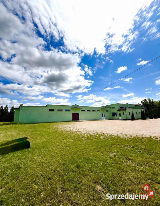 Lokal 6587m2 Ełk