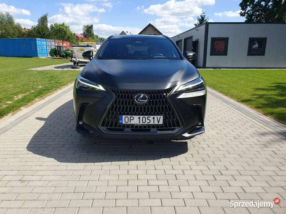 Lexus NX NX450h 309 Omotenshi Mod2025 Salon Strobice