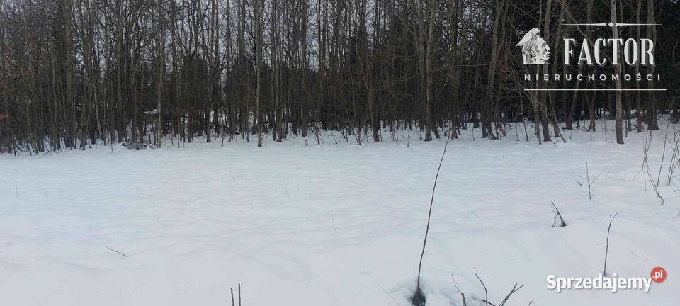 Biała Niżna działka budowlano rolno leśna 6000m2