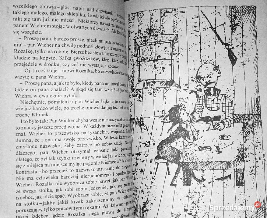 Rozalka Olaboga Anna Kamieńska lubelskie Chełm