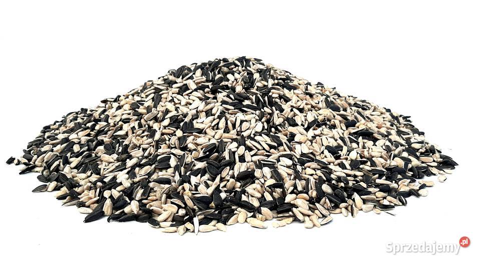 Słonecznik ptaków 90 łuskany 25 karma Cieszyn