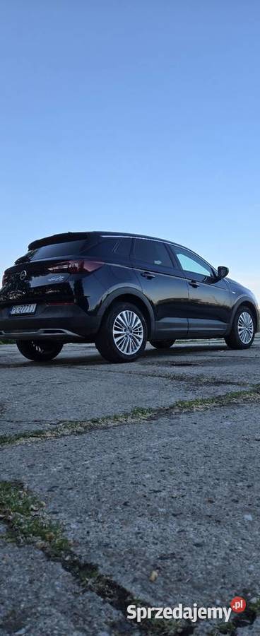 Opel Grandland X ESP Leszno