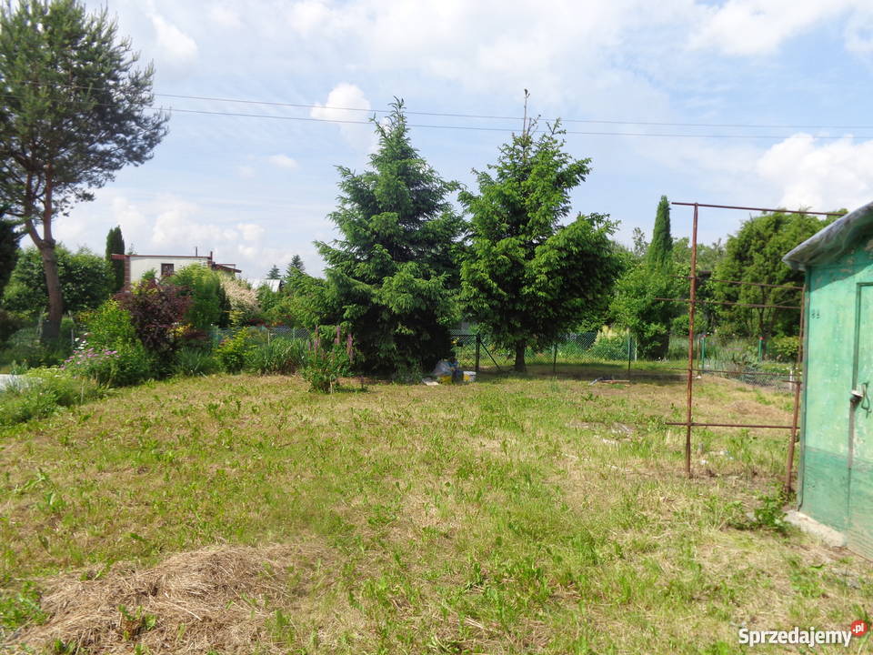 Sprzedam Ogródek Działkowy 400m2 budka studnia z Nysa