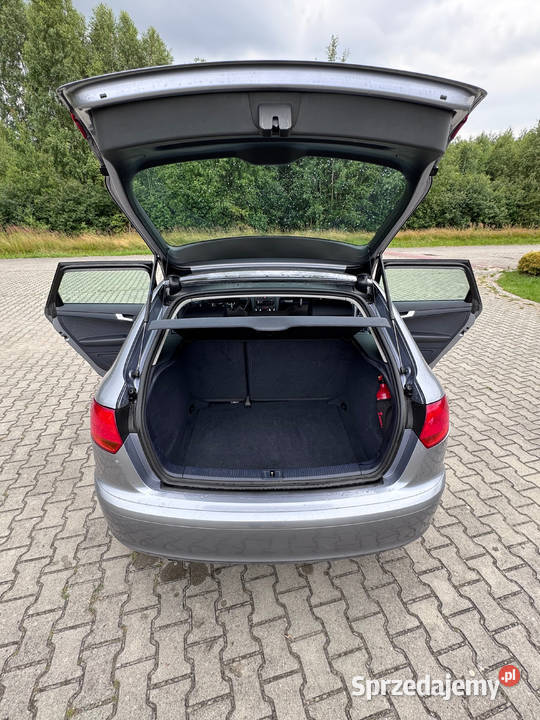 Audi A3 8P 19Tdi A3 Królewiec Poprzeczny