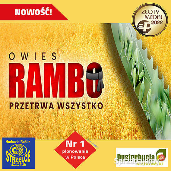Kwalifikowane nasiona siewne owies RAMBO C1 warmińsko-mazurskie