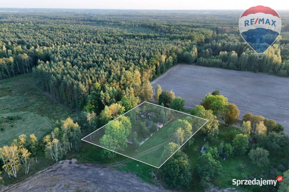 Siedlisko na skraju lasu 3700 m Tomaszew gm