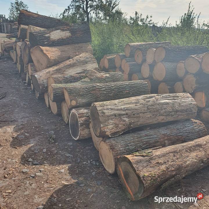 Drewno dąb dębowe wałki opałowe kominkowe Ogrzewanie Ostrów Wielkopolski