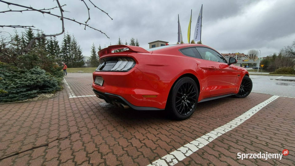 Ford Mustang Ford Mustang GT Stan Idealny Cesja czujnik zmierzchu Giżycko