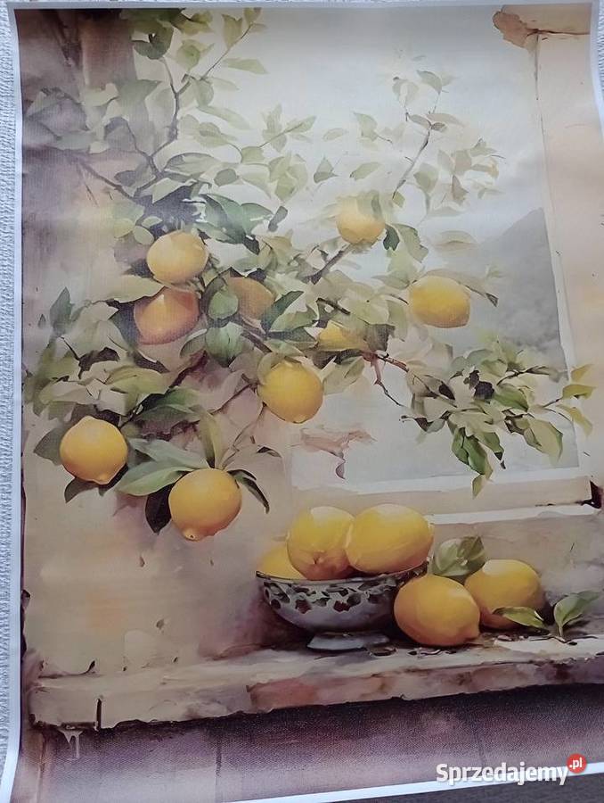 Obrazy na płótnie 50 x 40 Piława Górna