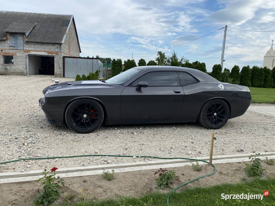Dodge challenger 309KM Janczewy