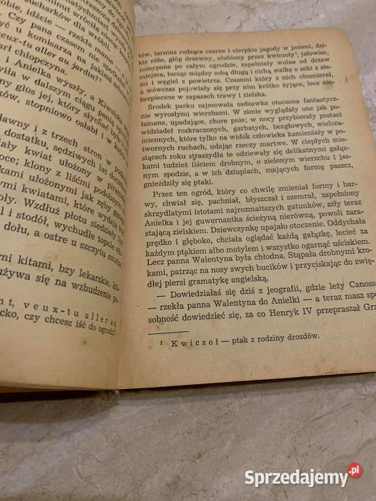 Anielka Bolesław Prus książka z 1954 r Hit Jasło sprzedam