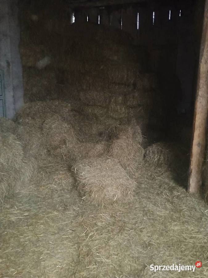 Siano w kostkach i słoma w belach 120 x 120