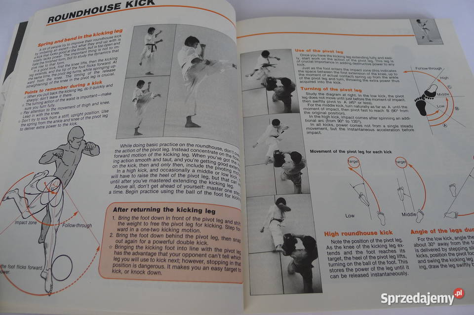 ASHIHARA Fighting Karate cz I Sabaki RARE mazowieckie Radom