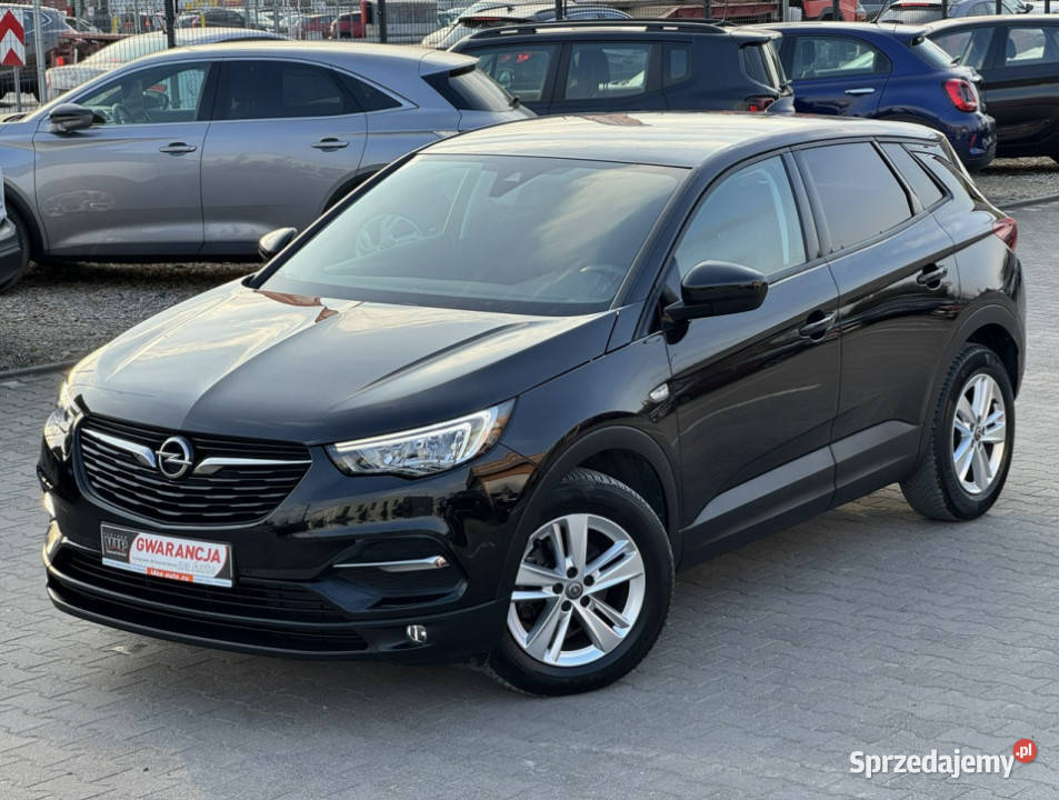 Opel Grandland X FILMAUTOMATNawigacjaFULL elektrochrom. lusterko wst.