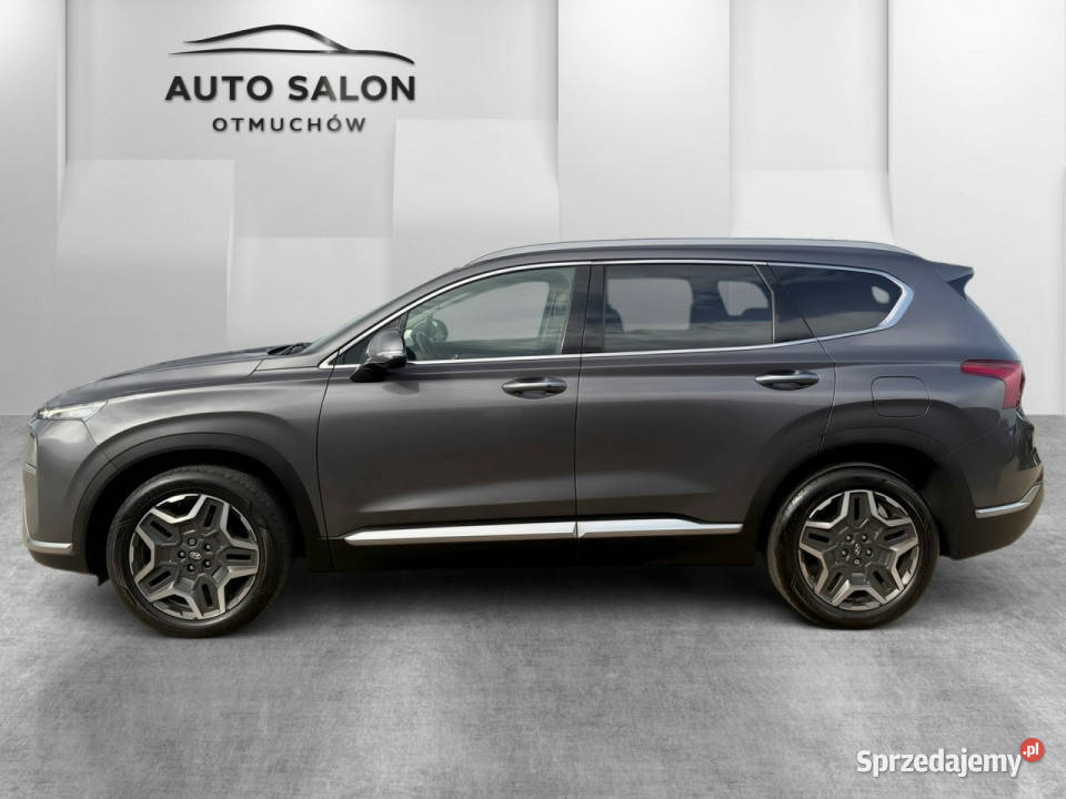 Hyundai Santa Fe FUL LED panorama skóra kamery isofix Otmuchów