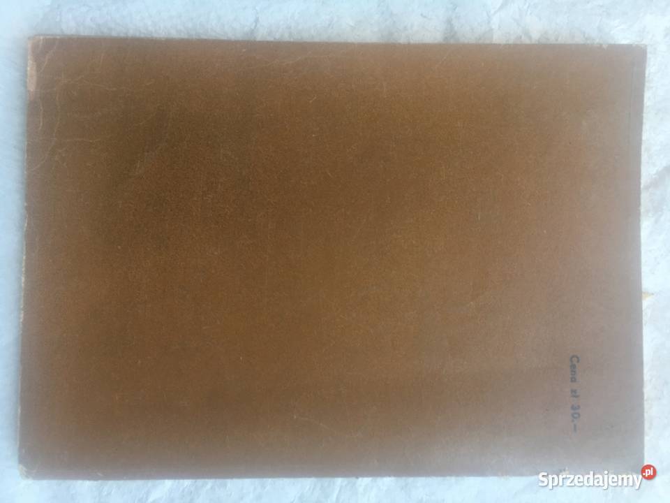 Utrzymanie mostów i przepustów wielkopolskie Łęczyca