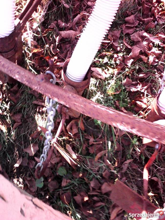 sadzarka do czosnku cebuli bobu 4 rzędowa lubelskie Bończa