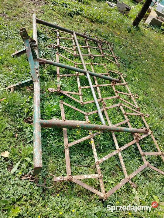 Brony nieuszkodzony Kosina