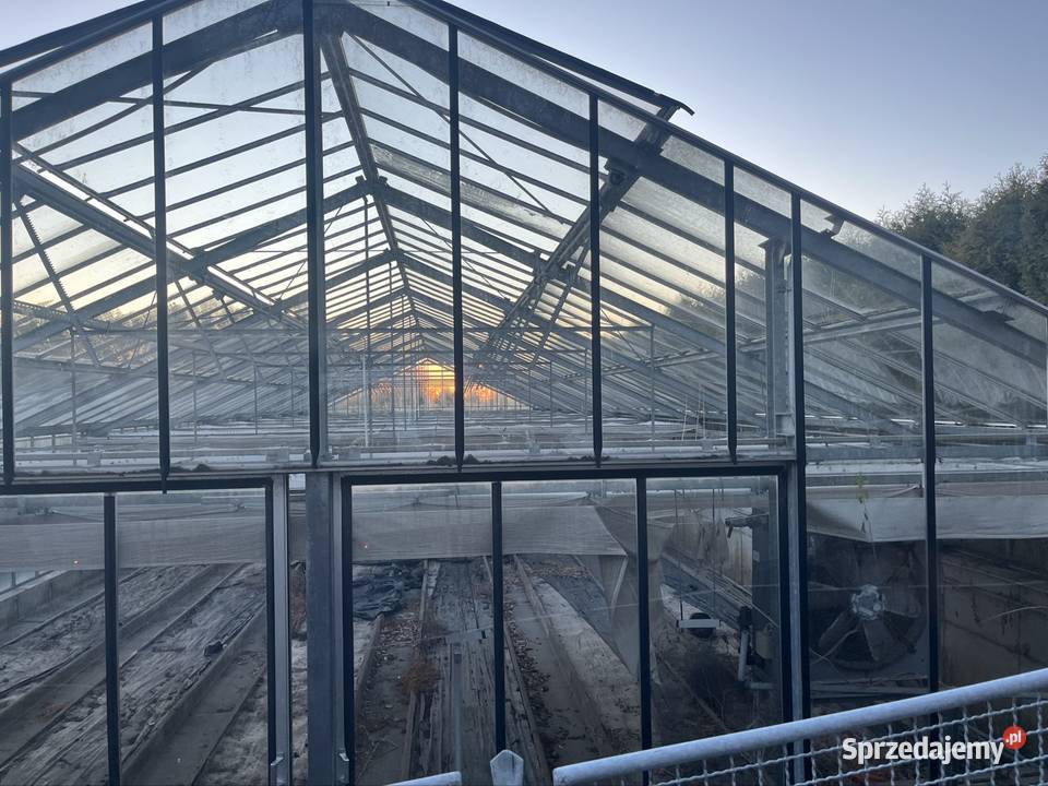 Szklarnia przemysłowa do rozbiórki 30m 10m sprzedam