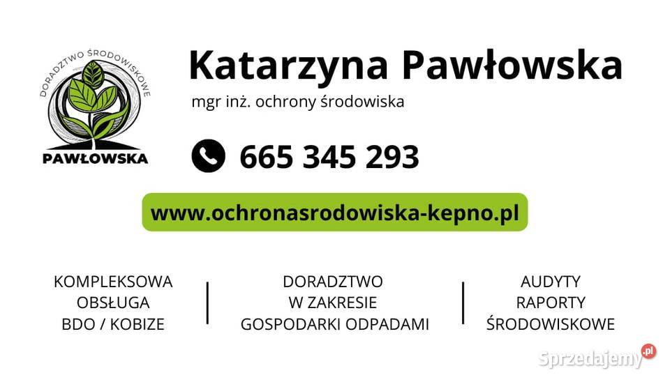 Sprawozdania obsługa BDO outsourcing KOBIZE Kępno