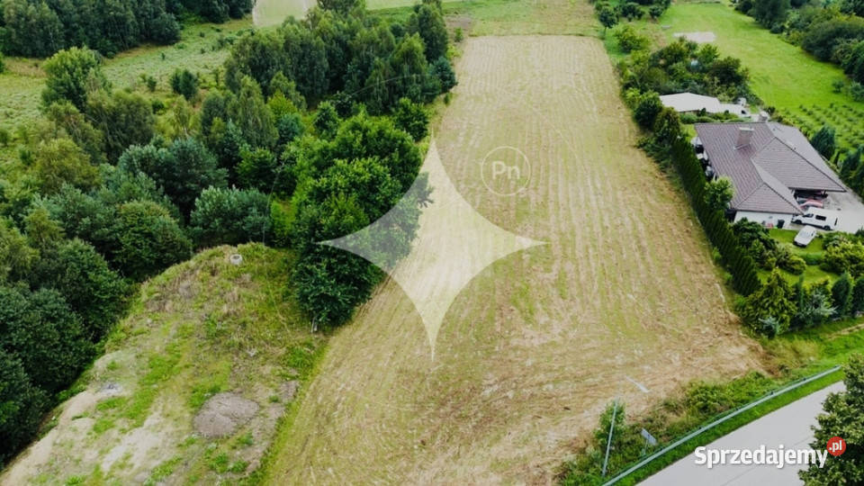 Sabaudia działka w zielonej okolicy