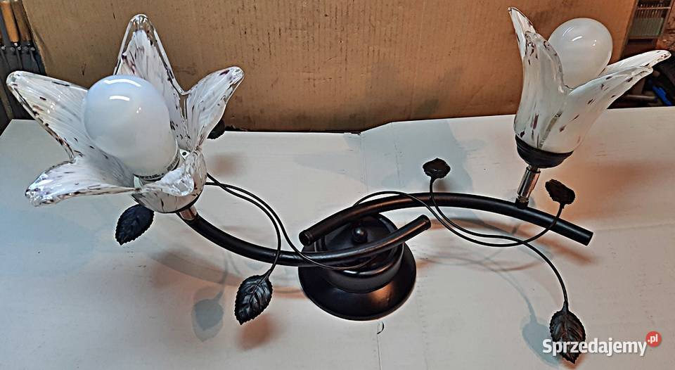 Żyrandol lampa sufitowa 2 x E 40 wielkopolskie Ostrów Wielkopolski