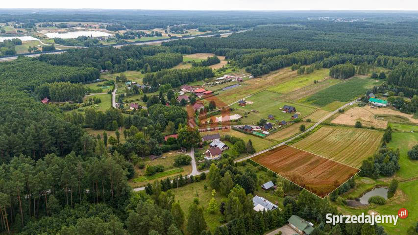 sprzedaży działki Krzywa 3100m2 3100m2