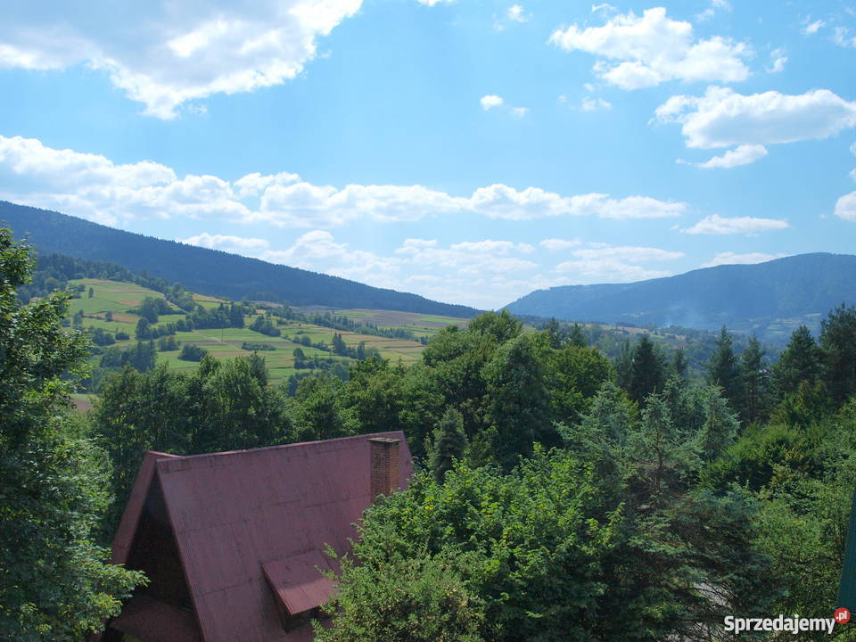 Sprzedam daczę 270 działka 7 a w górach Kasinka Mała