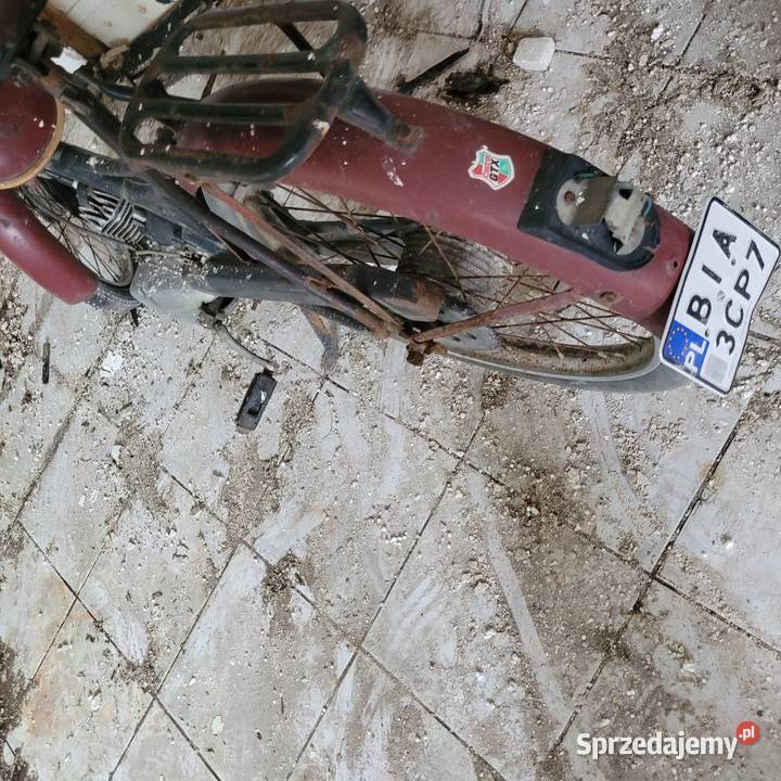 Komar 2320 sztywniak zarejestrowany podlaskie Hryniewicze