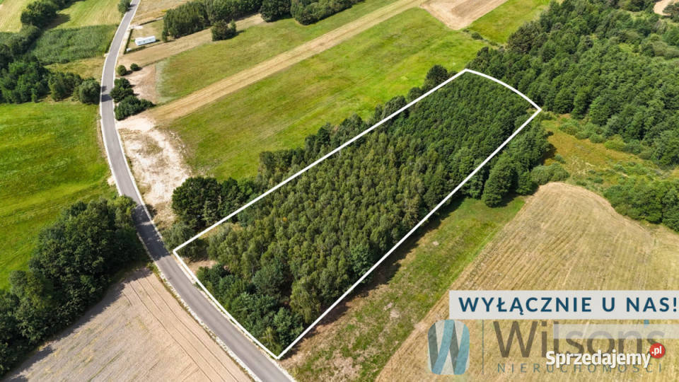 sprzedaży gruntu Sokołowo Włościańskie 7100m2 sprzedam