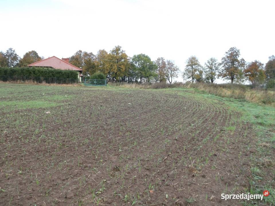 Działka 3287 m2 ze stawem Mazury Niedziały