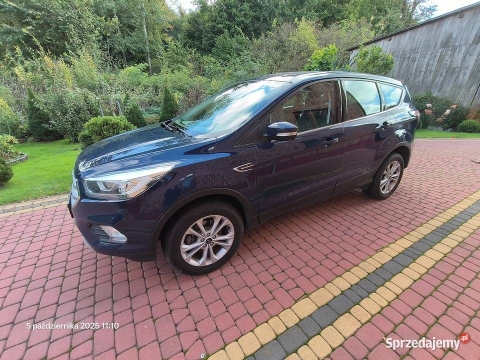 Ford Kuga 2018 150 benzyna Kuga Potasznia