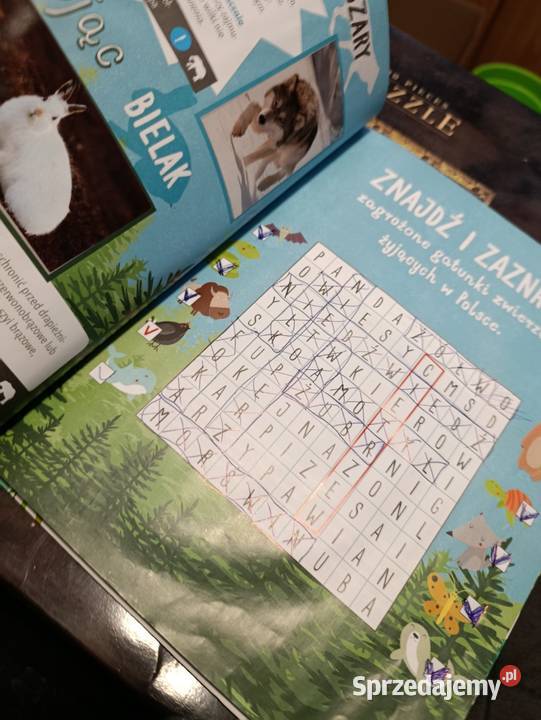 Nela przedstawia zagrożone gatunki zwierząt wielkopolskie