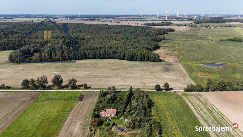 Siedlisko w miejscowości Górki gmStary Dzierzgoń Sprzedaż