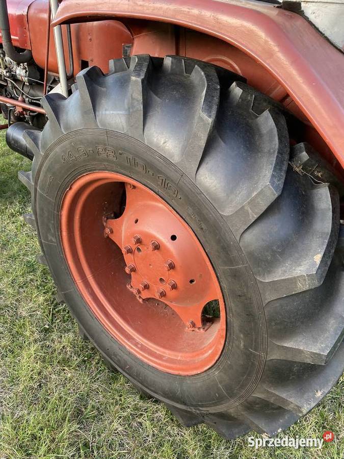 Ursus 4011 C4011 Zetor nowości w jednej rodzinie Starachowice