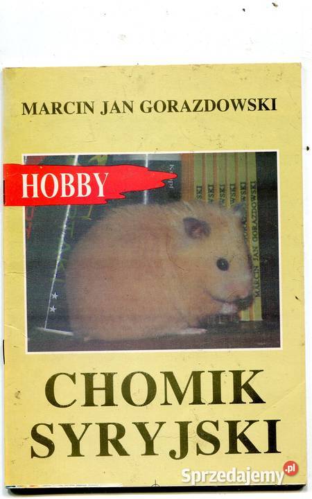 Chomik syryjski Szczecin