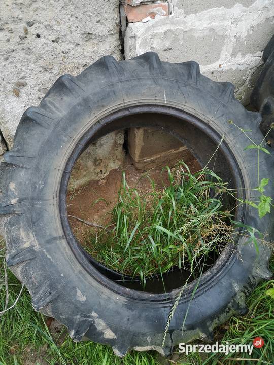 Opona 12428 stomil Bochnia