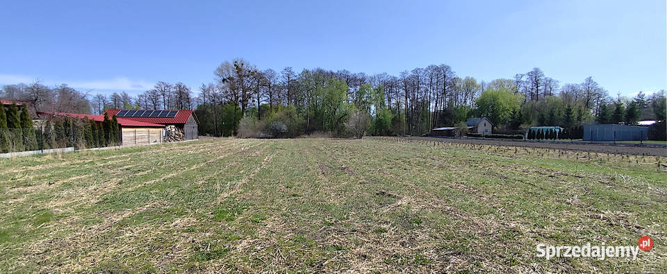 Sprzedam działkę 29 ar w Anielinie lubelskie Puławy
