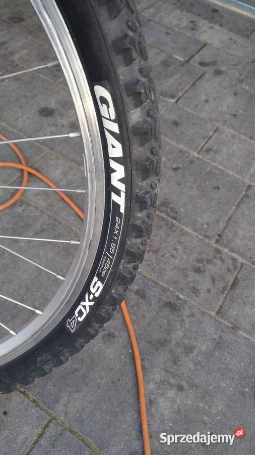 rowery górskie Raleigh Giant bmx Sport małopolskie Żabno