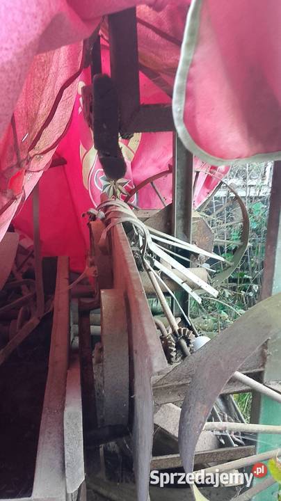 Sadzarka do ziemniaków Kluczbork