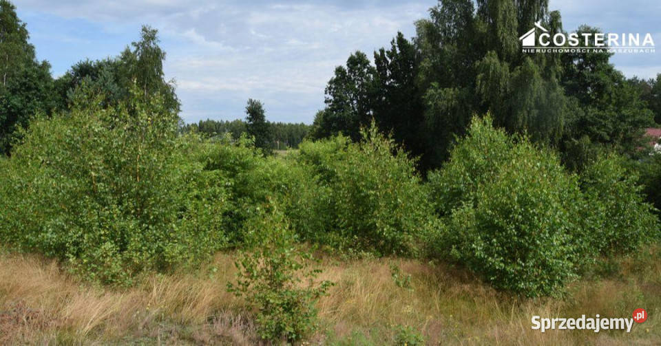 Działka do sprzedania 1147m2 Dziemiany budowlana Sprzedaż