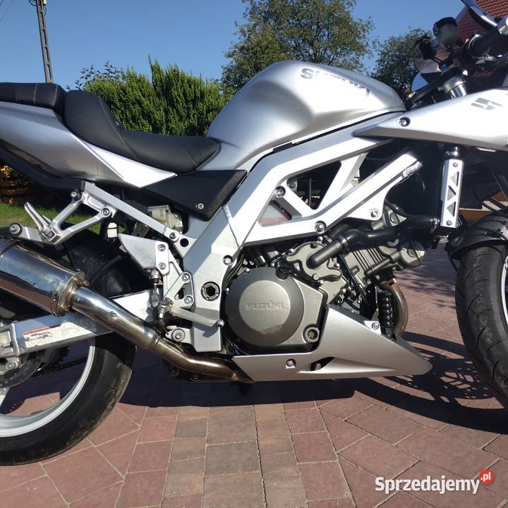 Suzuki SV1000S 2003 r dolnośląskie Szewce