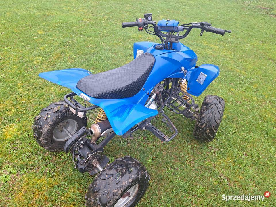 Quad 110 cc 1 plus 1 Stan Iskrzynia